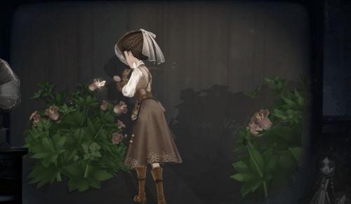 昆虫学者皮肤最新爆料,皮肤奥秘新发现