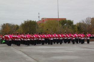 新湖总场爆料最新消息今天,今日热点事件深度解析